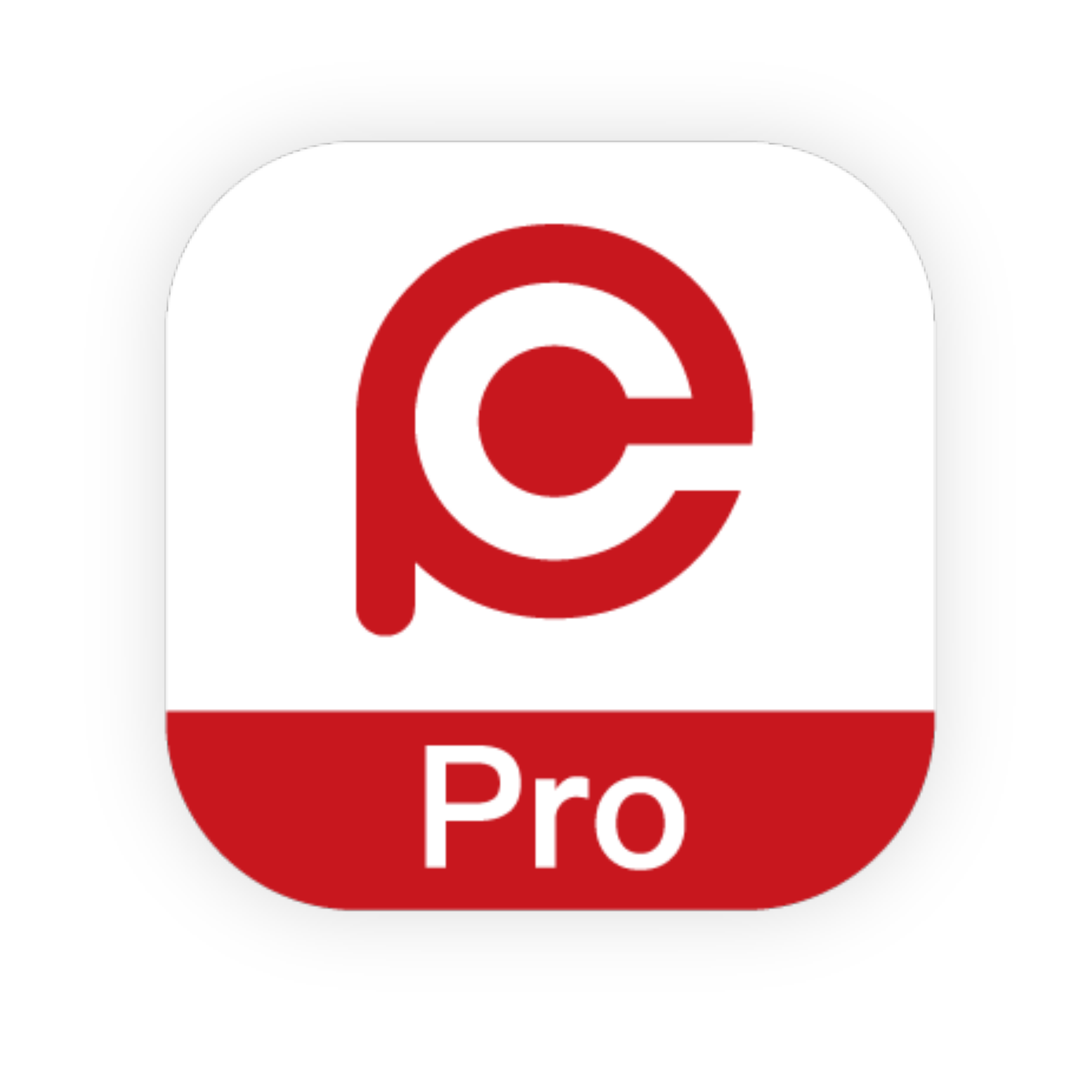 Hik-Partner Pro